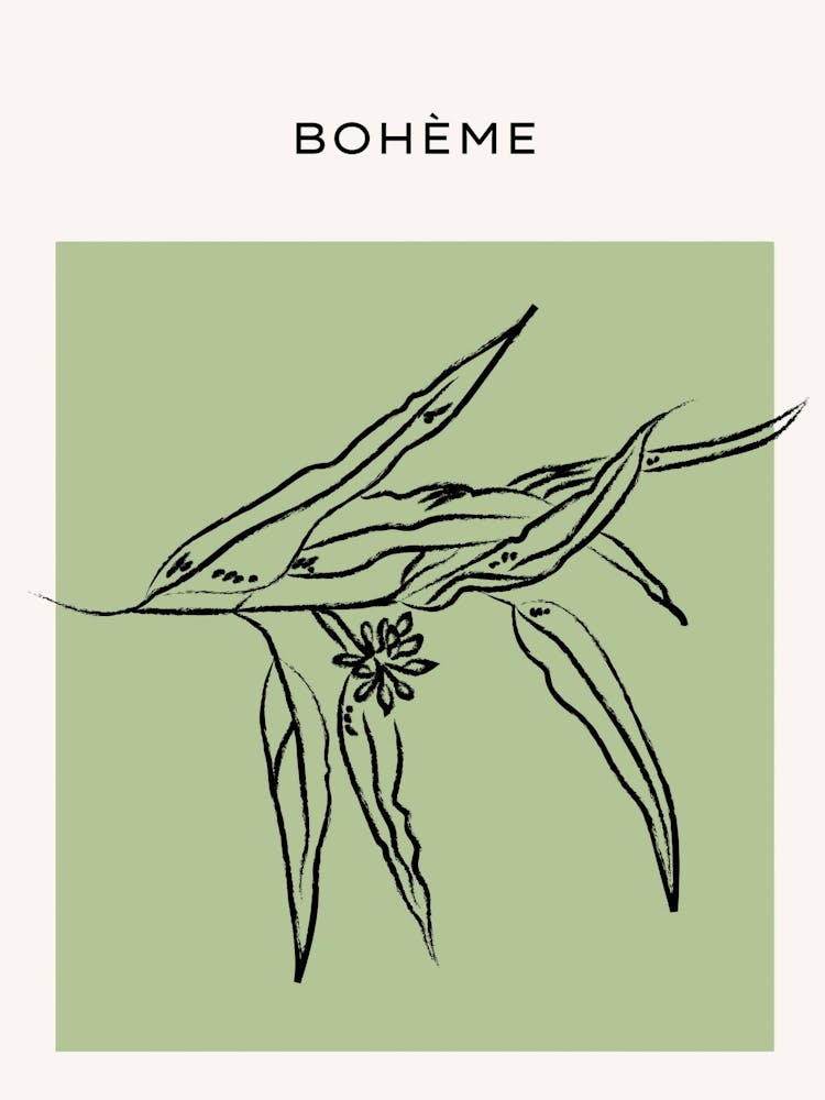 Boheme 4