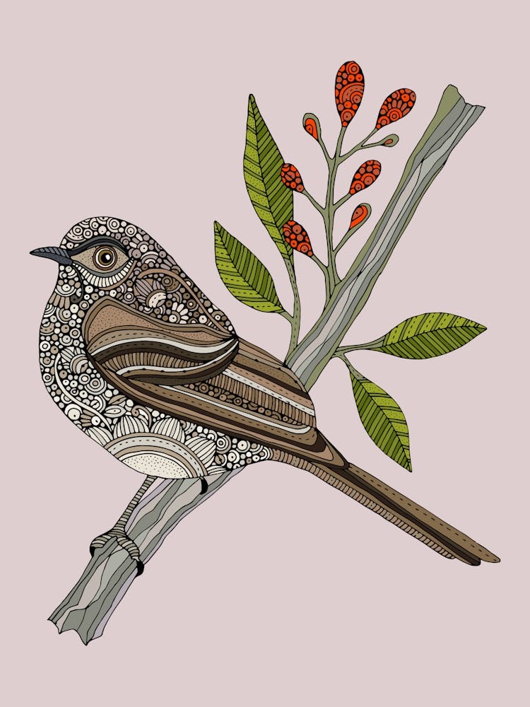 Paul The Northern Mockingbird