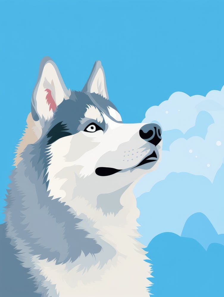 Siberian Husky