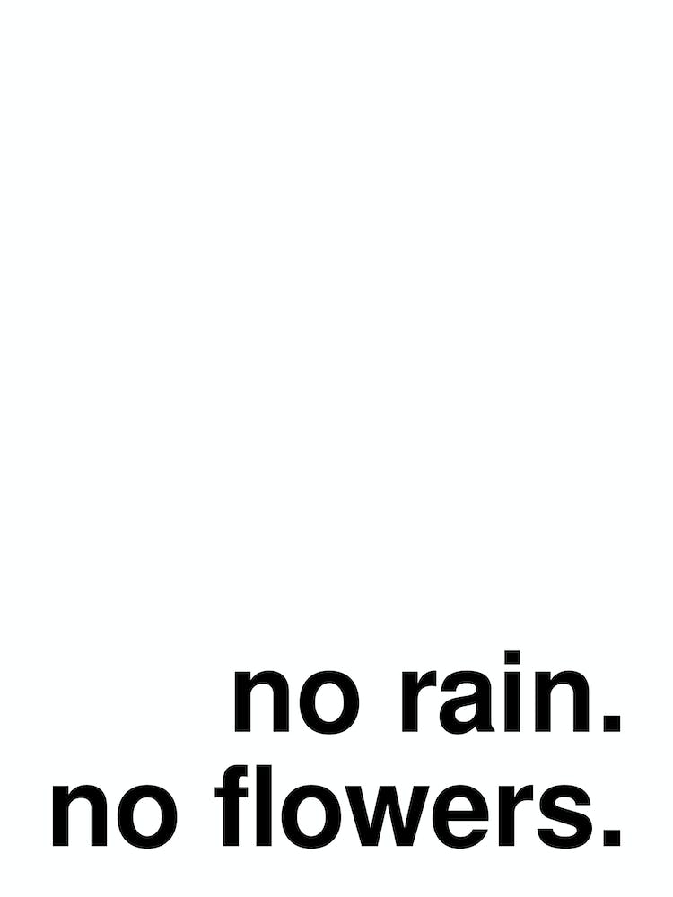 No Rain No Flowers Bold Typography White