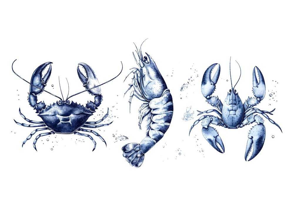 Watercolor Crabs 1