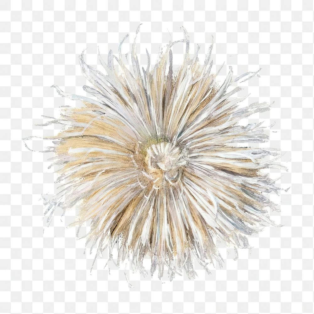 Chrysanthemum Sticker, Flower Illustration, Piet Mondrian