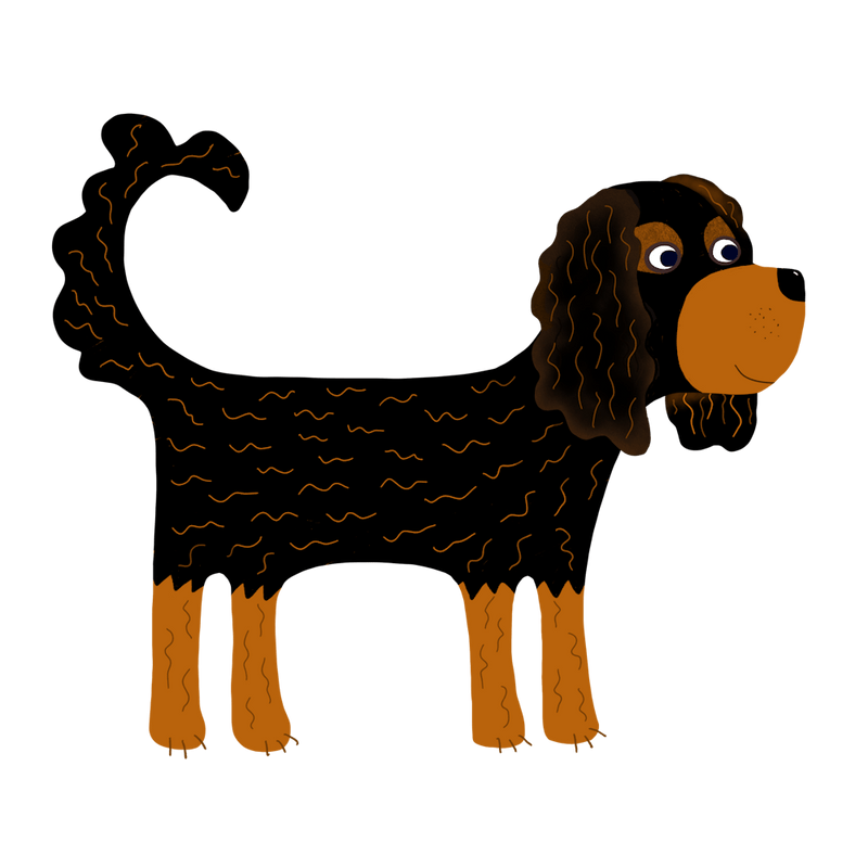 Cavalier King Charles Spaniel Schwarz Loh