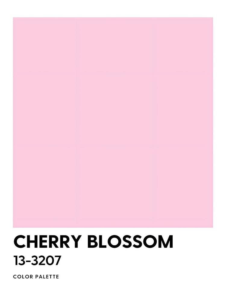 Kirschblüte