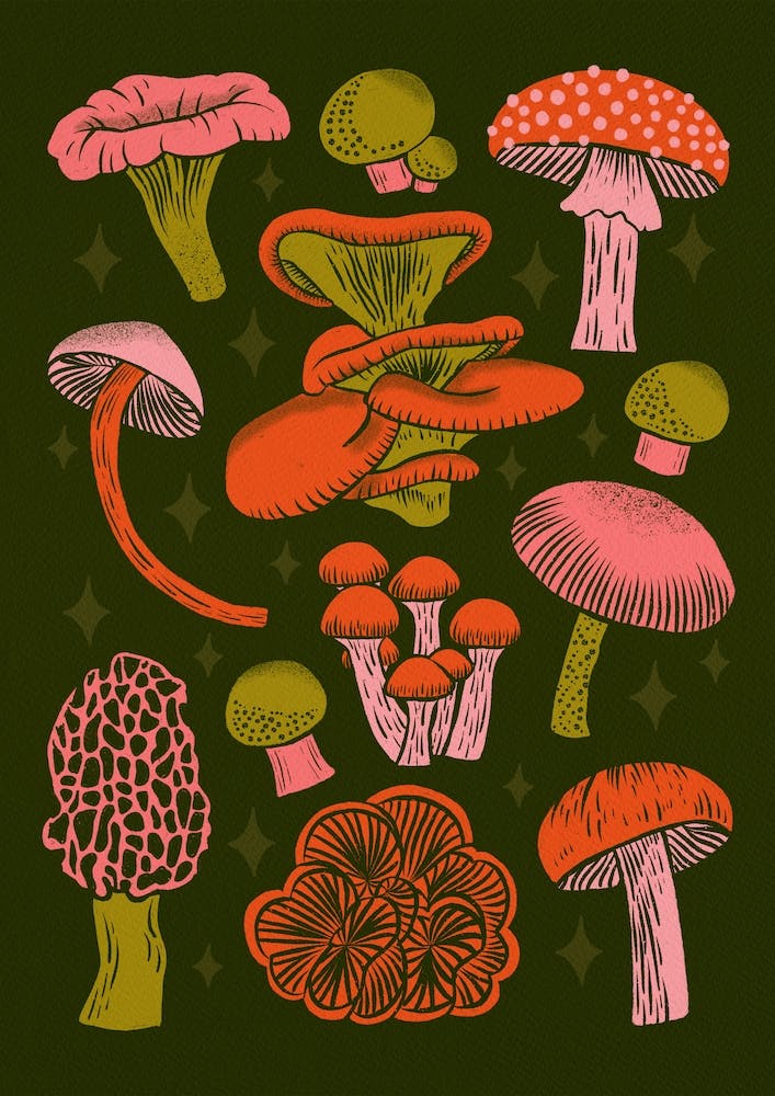 Texas Mushrooms   Bright Multicolor On Green