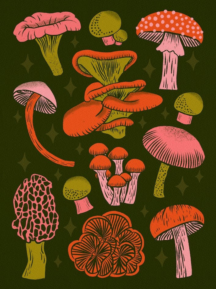 Texas Mushrooms   Bright Multicolor On Green