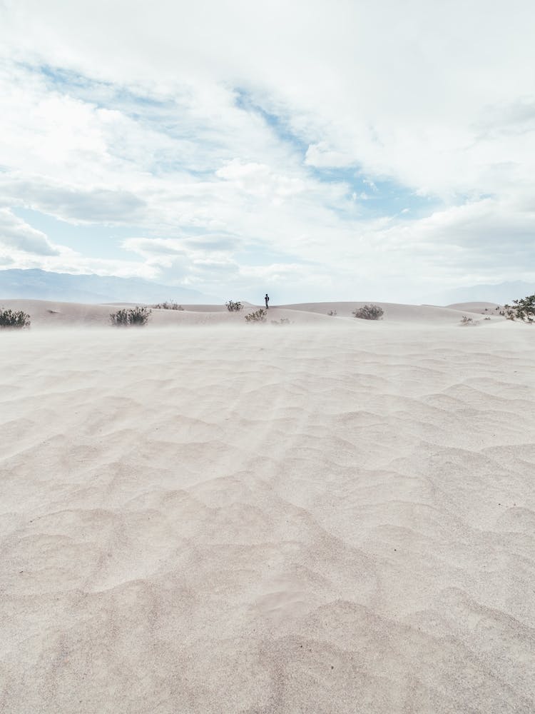 Man In Dunes