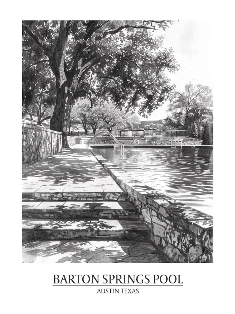 Barton Springs Pool Austin Texas Black And White Drawing 3 Poster