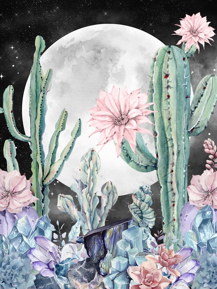 Cactus And Flowers Desert Nights