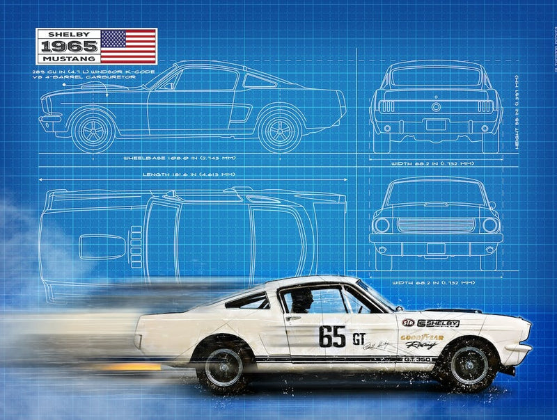 Shelby Mustang 350GT, Blueprint