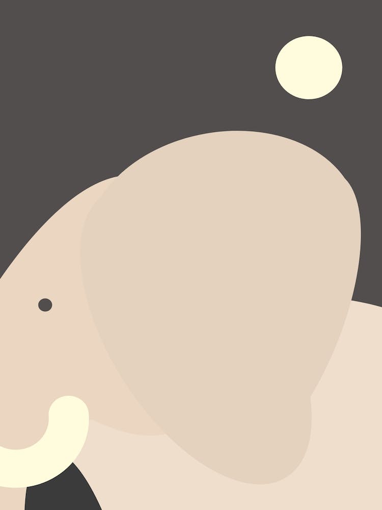 I Dreamt I Was An Elephant