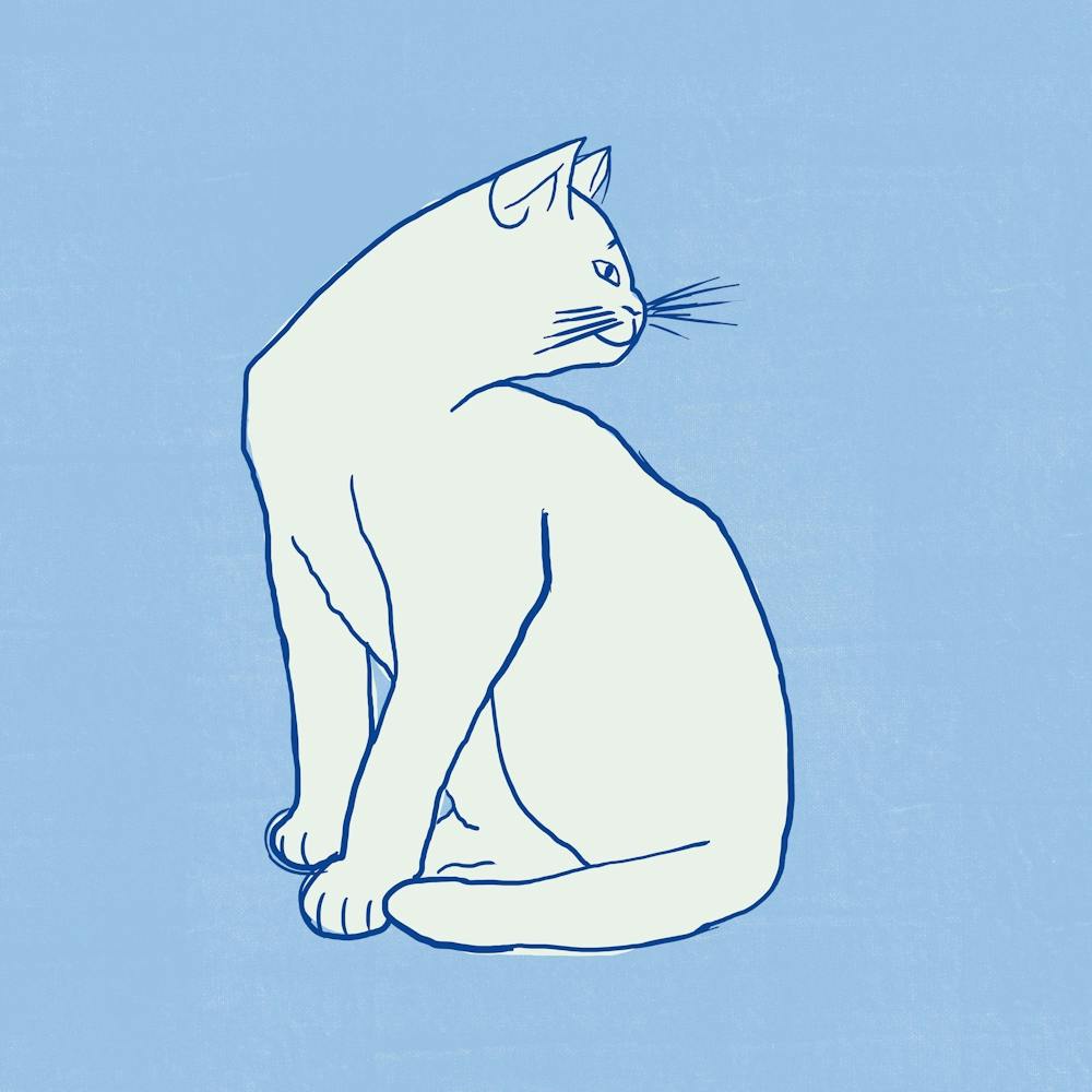 Cat Sitting On A Blue Background