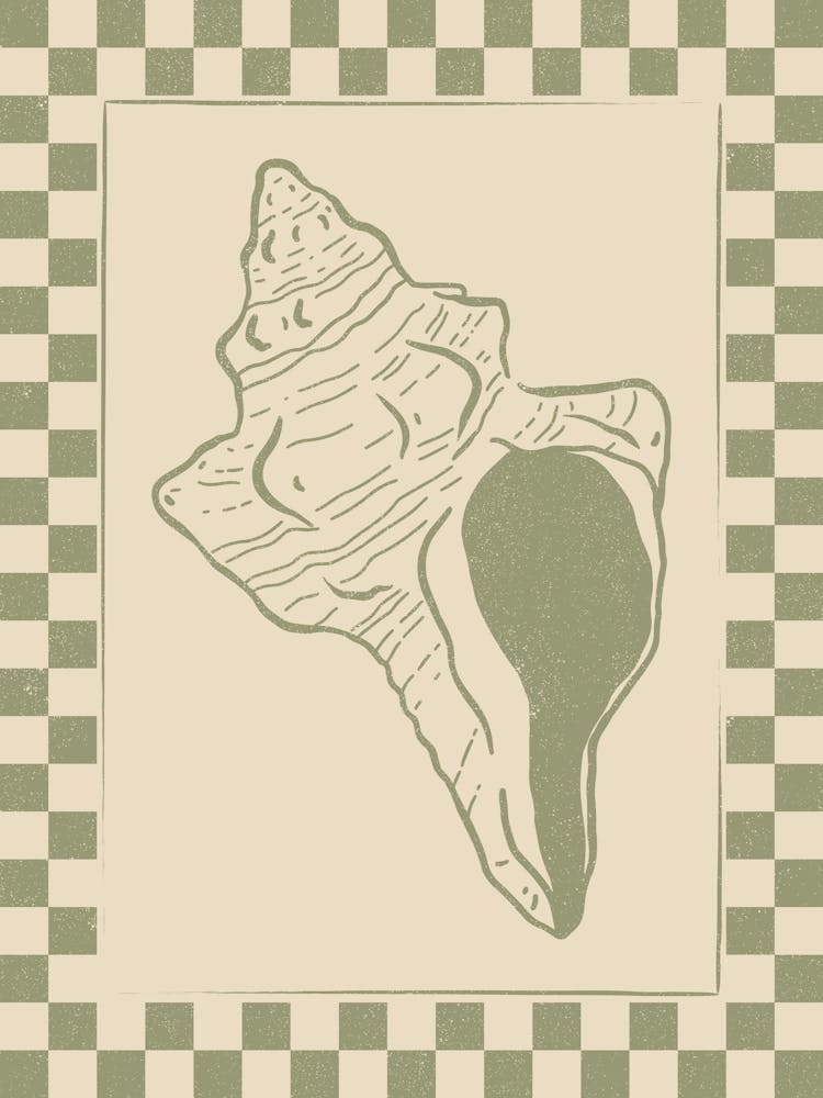 Seashell 11 with Checkered Border