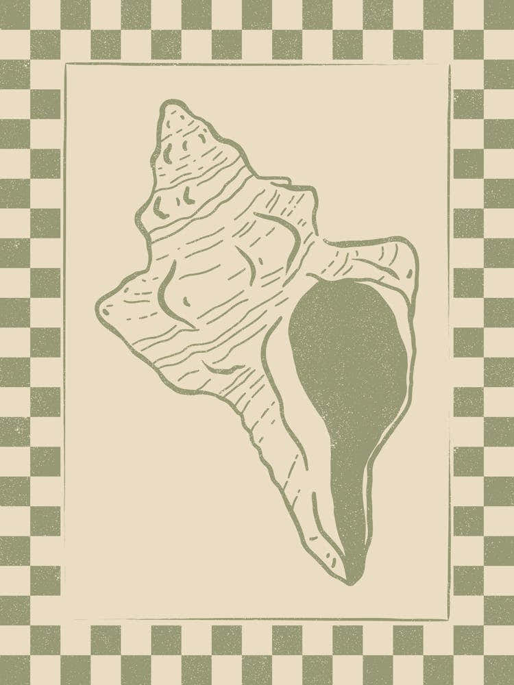 Seashell 11 with Checkered Border