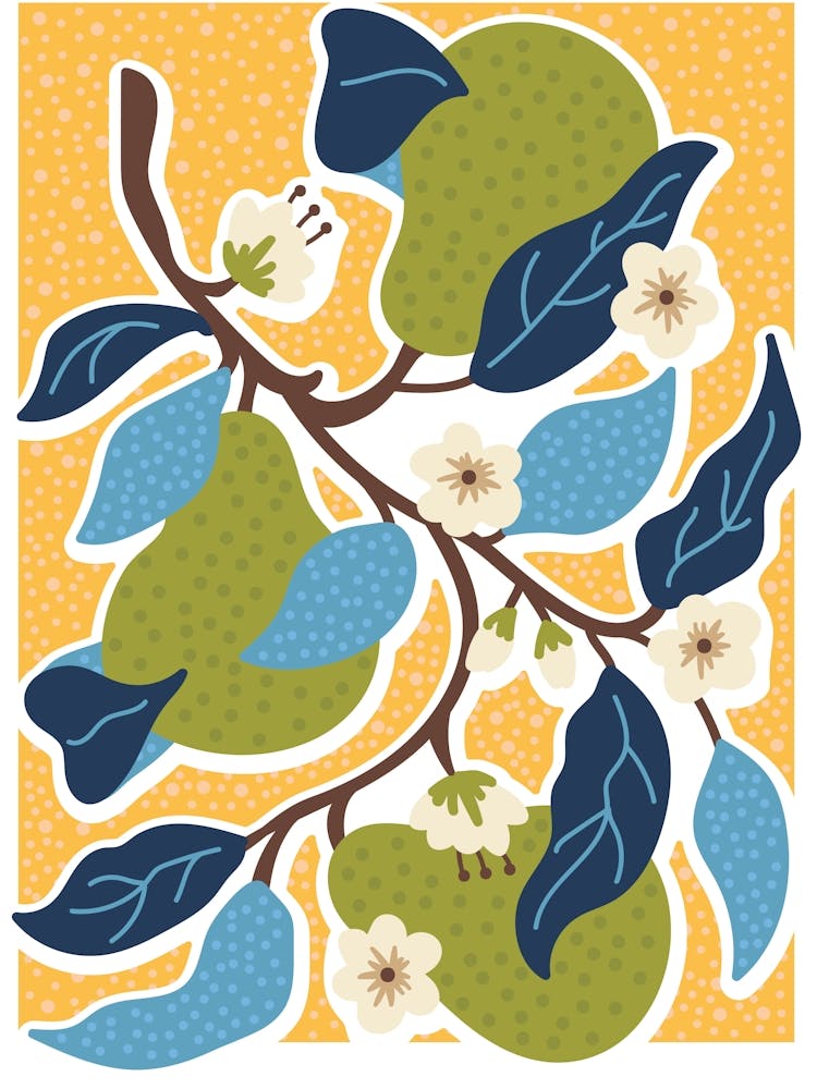 Poires Et Fleurs