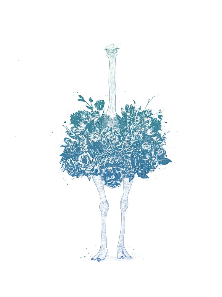 Floral Ostrich II
