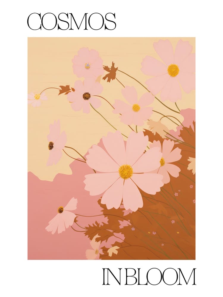 Cosmos In Bloom Flowers Bold Illustration 3