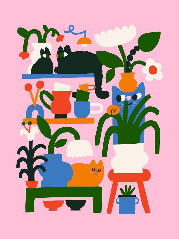 A Cat Lady S Home