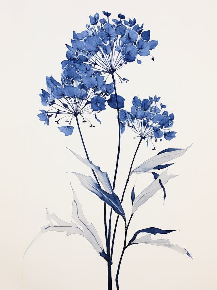 Blue Botanical Agapanthus 1