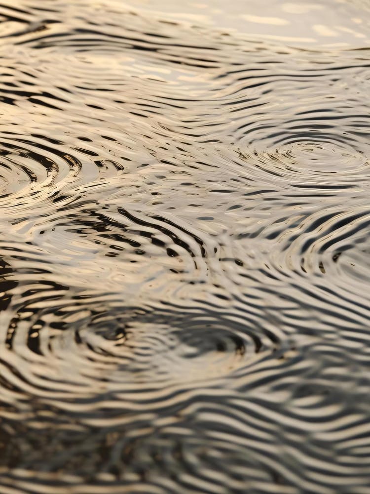 Ripples In The Water 5