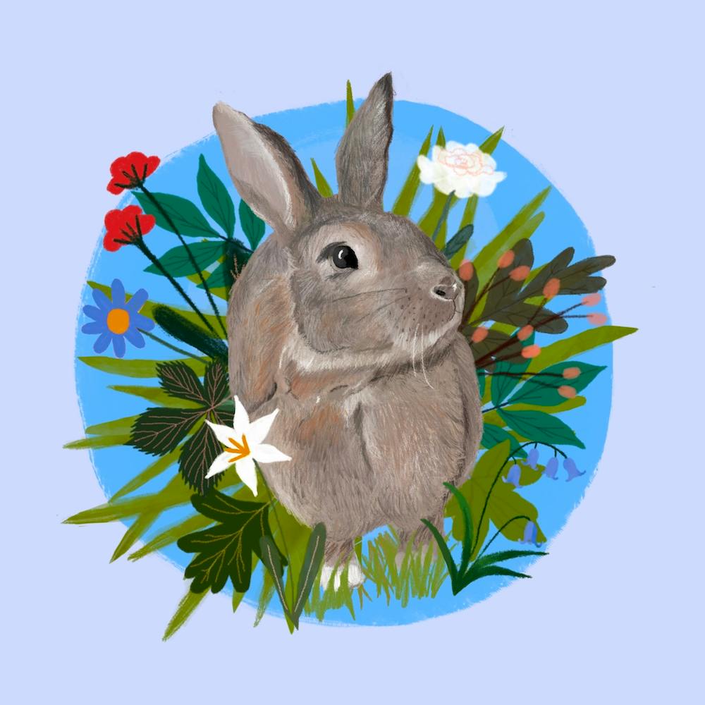 Spring Rabbit