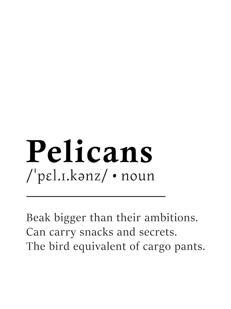 Pelicans Definition Poster - Dictionary