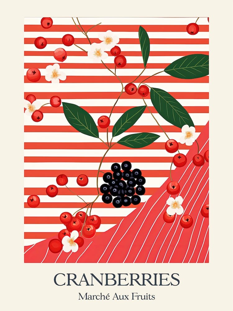 Marche Aux Fruits Cranberries Fruit Summer Illustration 1