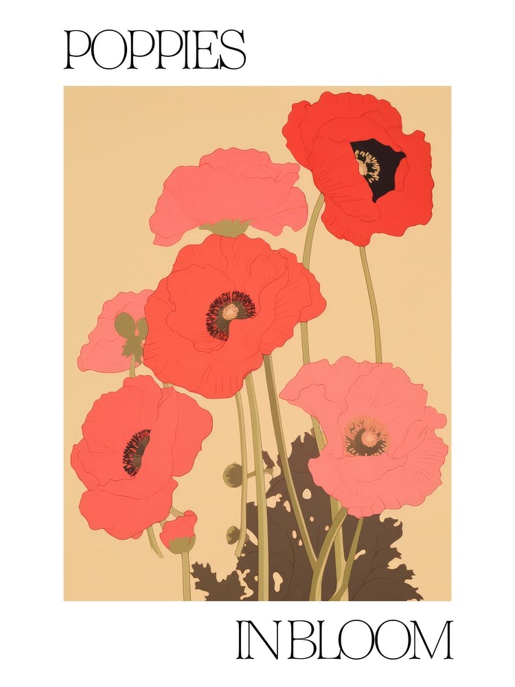 Poppies In Bloom Flowers Bold Illustration 4