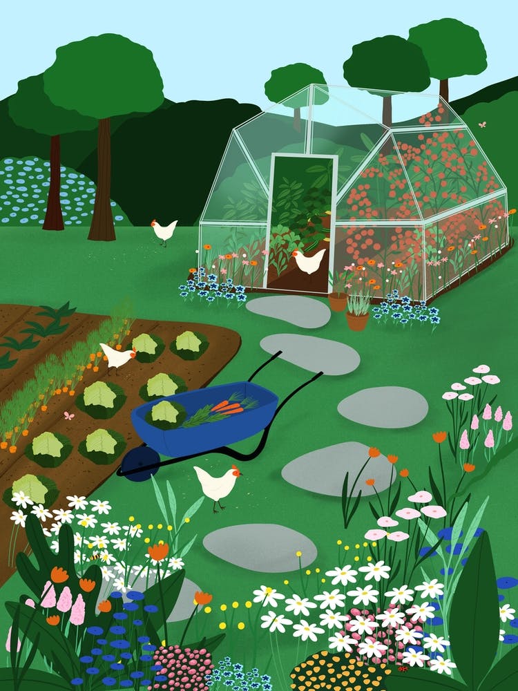 Glasshouse Garden