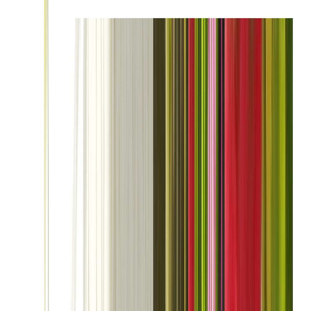 The Stripes Of The Day · Green Red