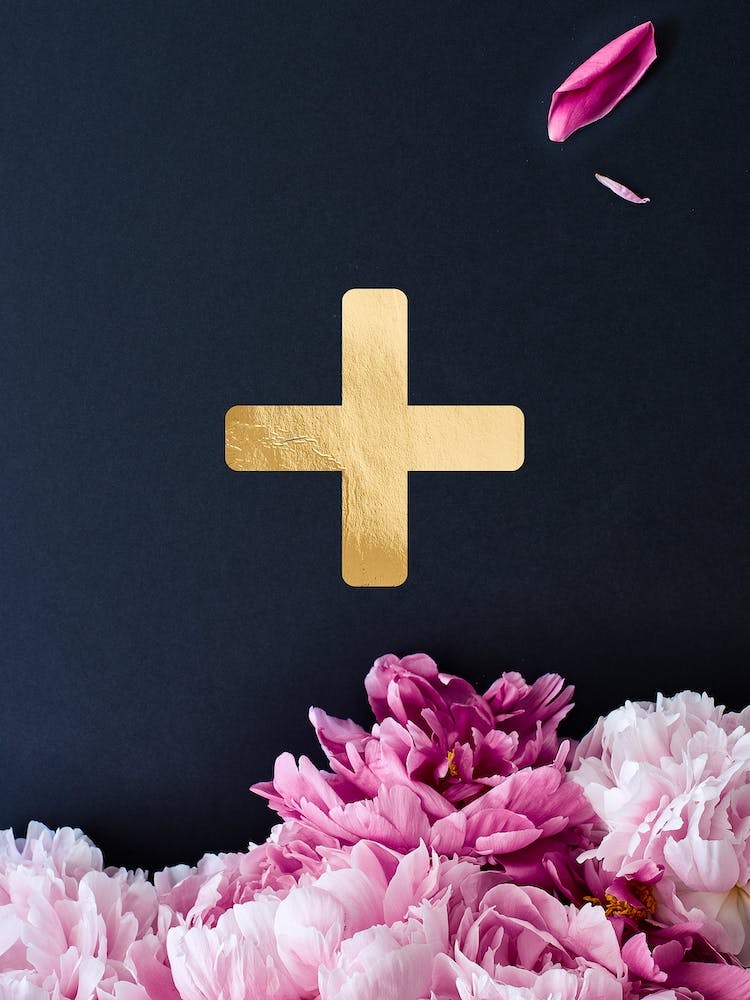 Flower Alphabet Plus