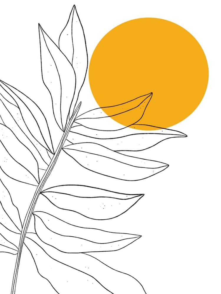Sun And Leaf