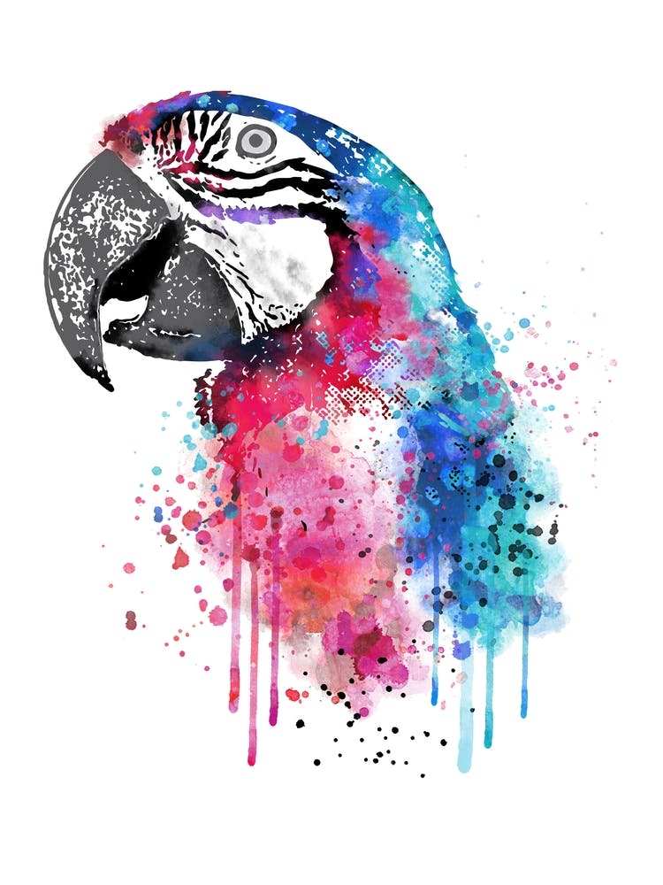 Macaw Bird Watercolor