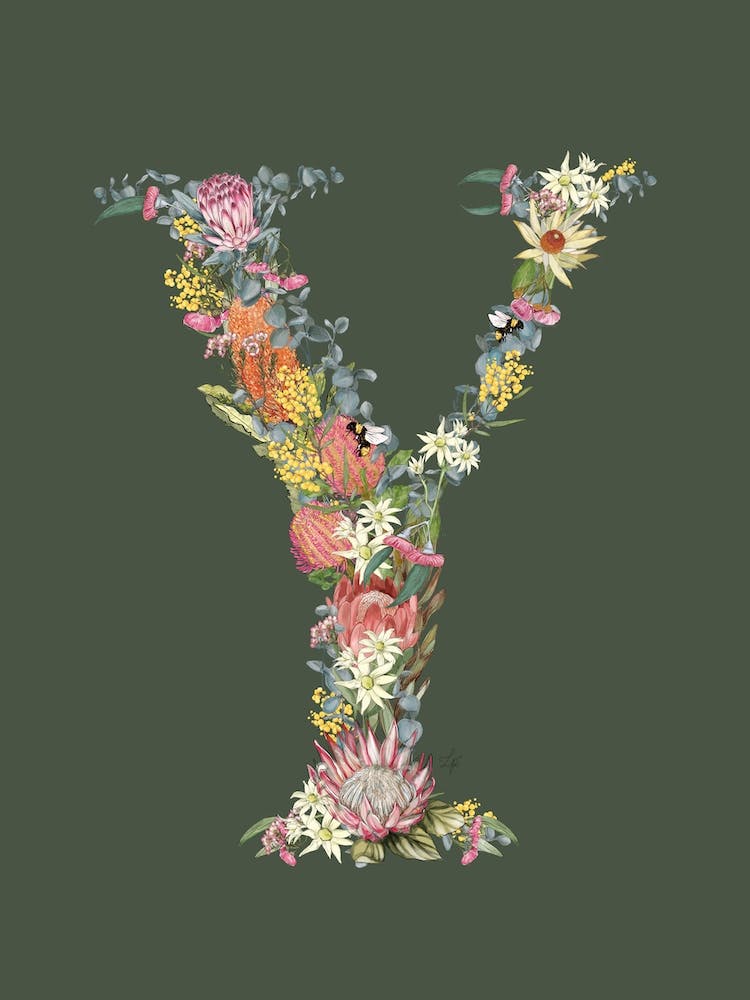 Y Olive Alphabet Buchstabe