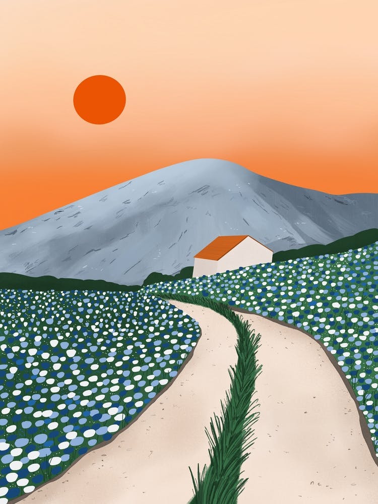 Orange Mountain Sunset