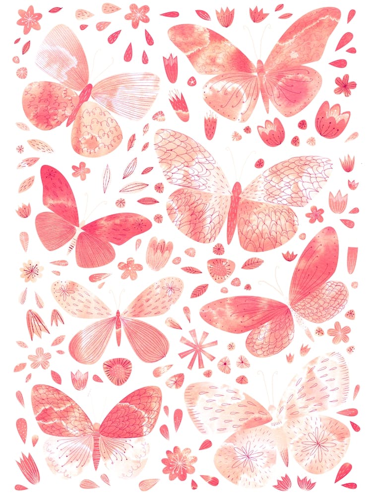 Butterfly Watercolor Peach Coral Blush Pink