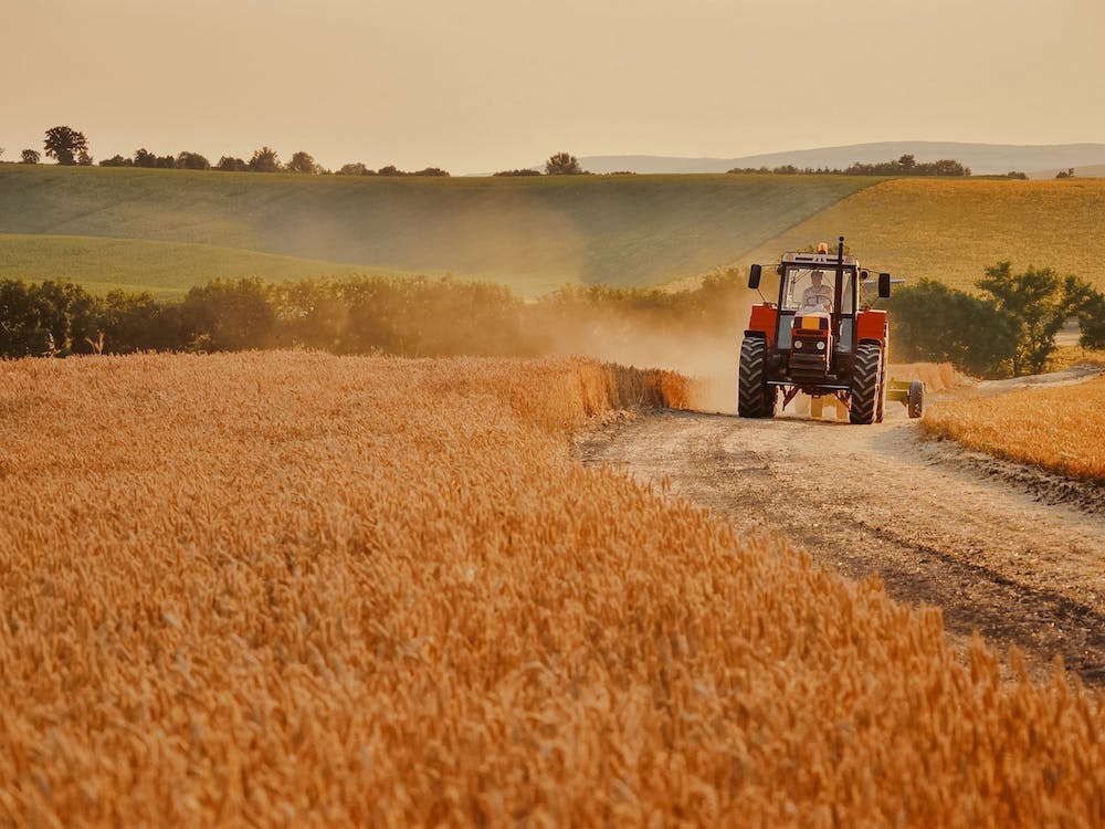 Warm Harvest Tractor