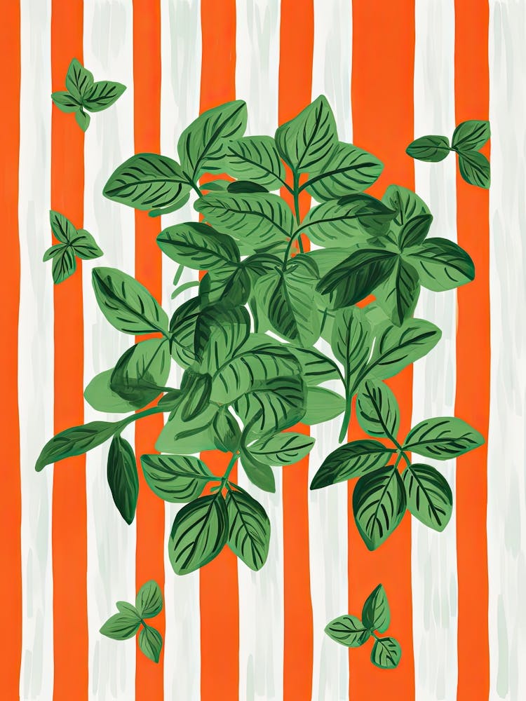 Basil Summer Illustration 12