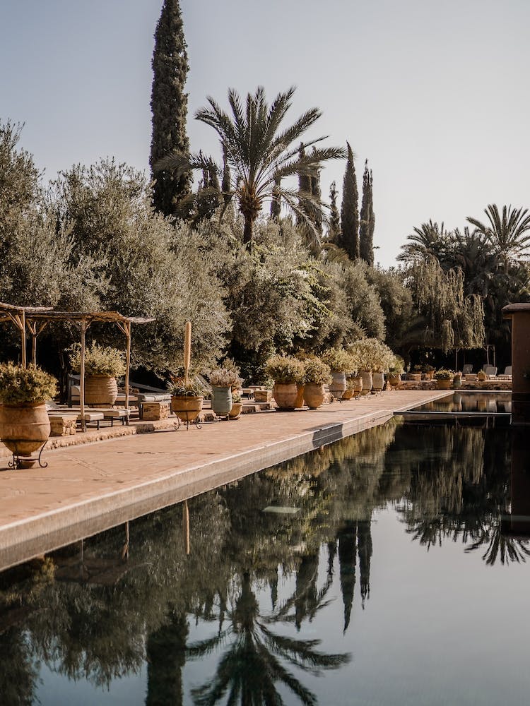 Pool In Marrakech
