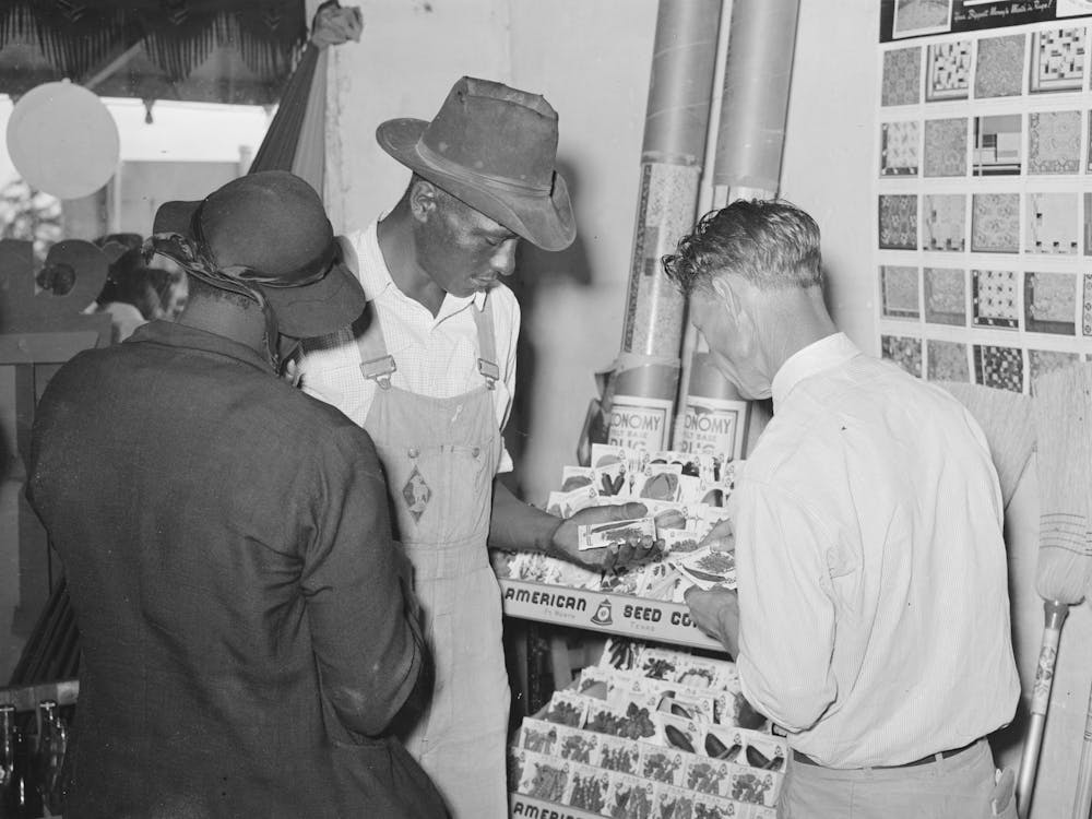 Selecting Seeds In Hardware Store, San Augustine, Texas By Russell Lee