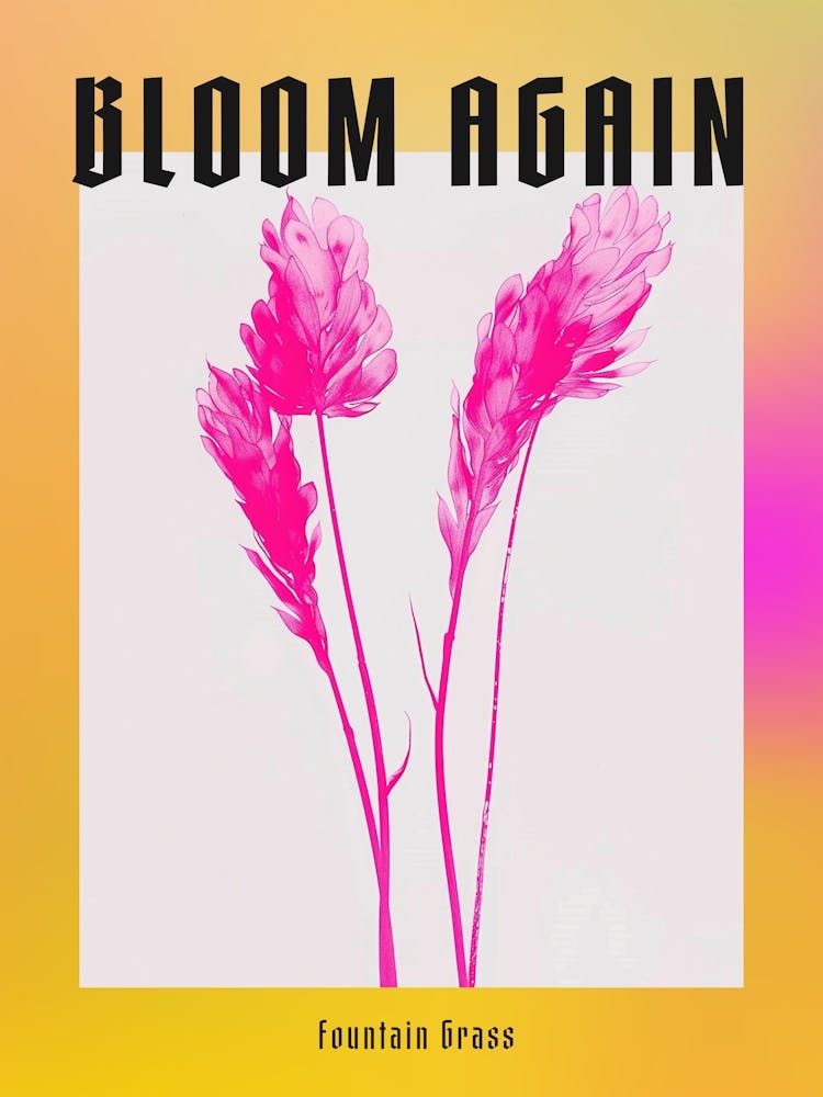 Hot Pink Fountain Grass 2 Poster