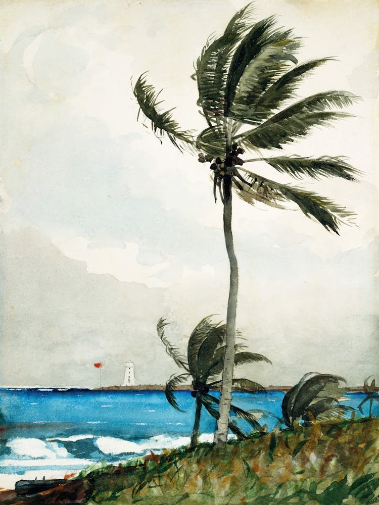 Bahamas Palm Tree Ocean Painting