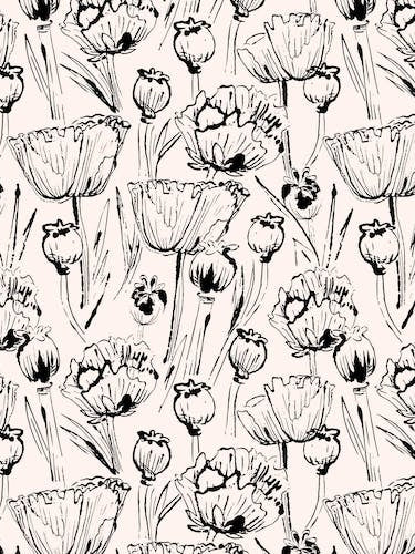 Vintage Poppies