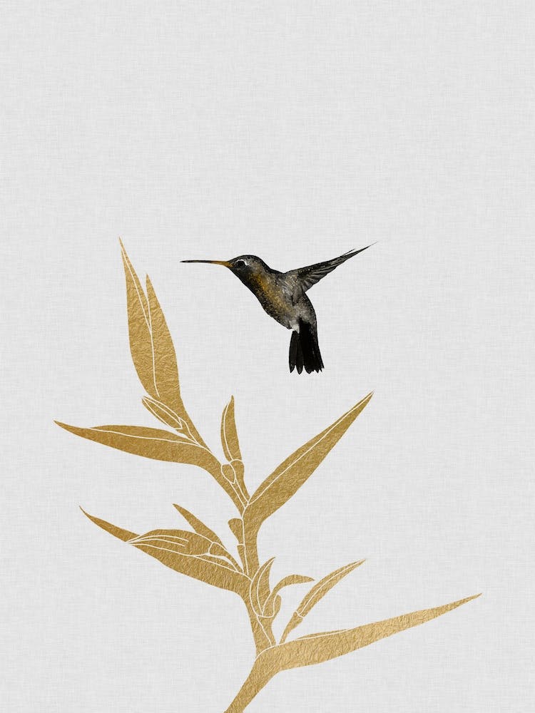 Hummingbird & Flower II