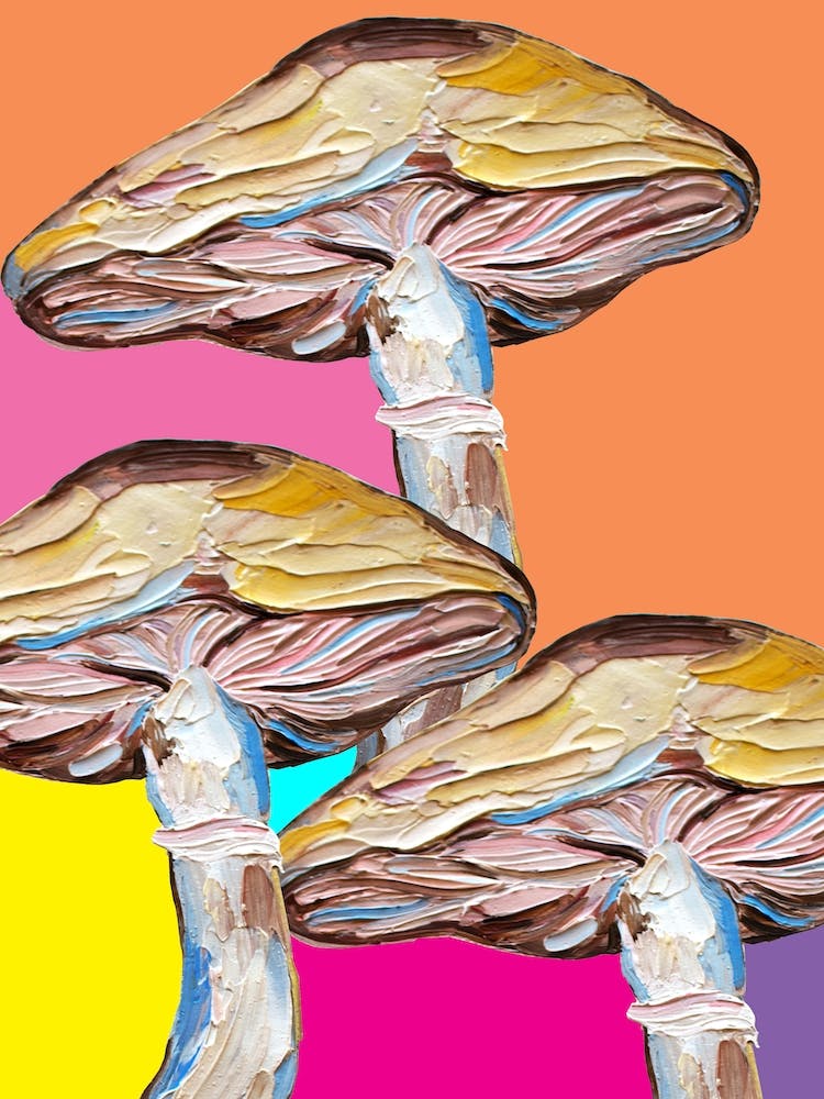Mushrooms On Rainbow Quilt