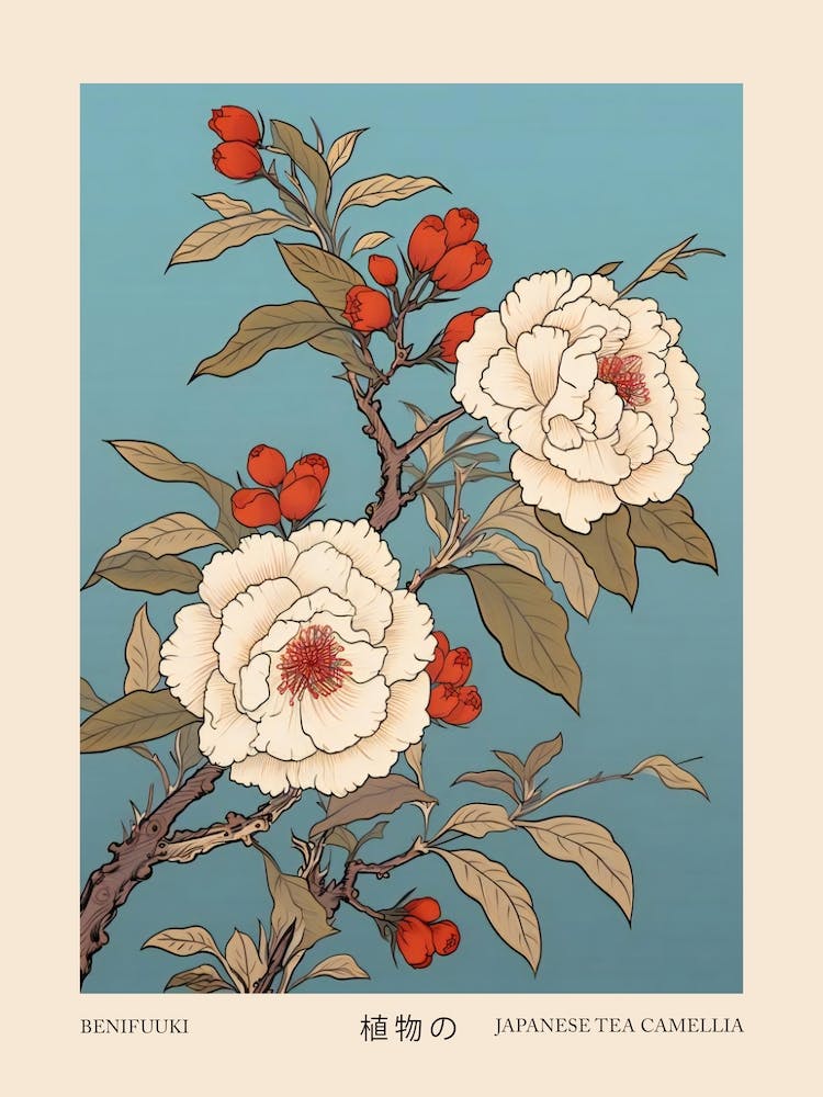 Benifuuki Japanese Tea Camellia 2 Vintage Japanese Botanical Poster