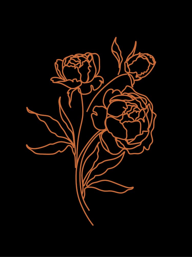 Peonies 2