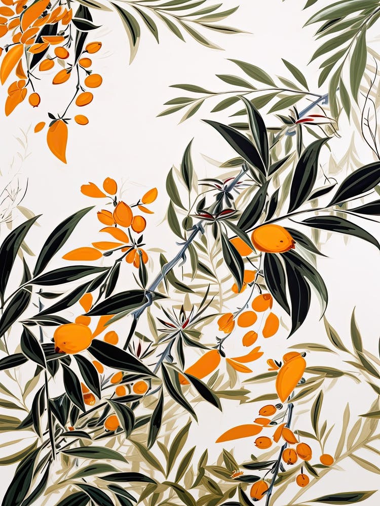 Loquat Fruit Drawing 2