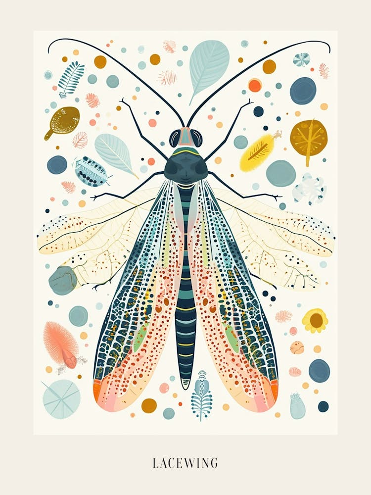 Colourful Insect Illustration Lacewing 14 Poster