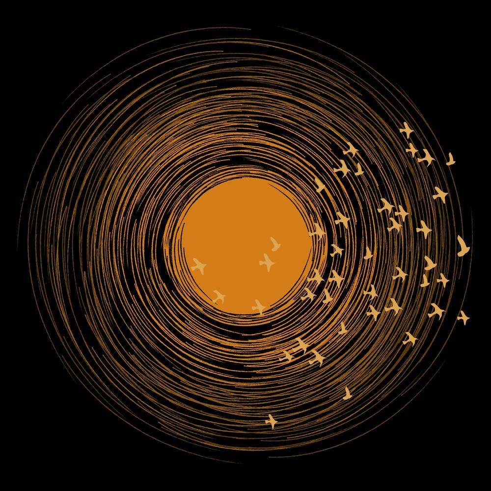 Sun And Birds